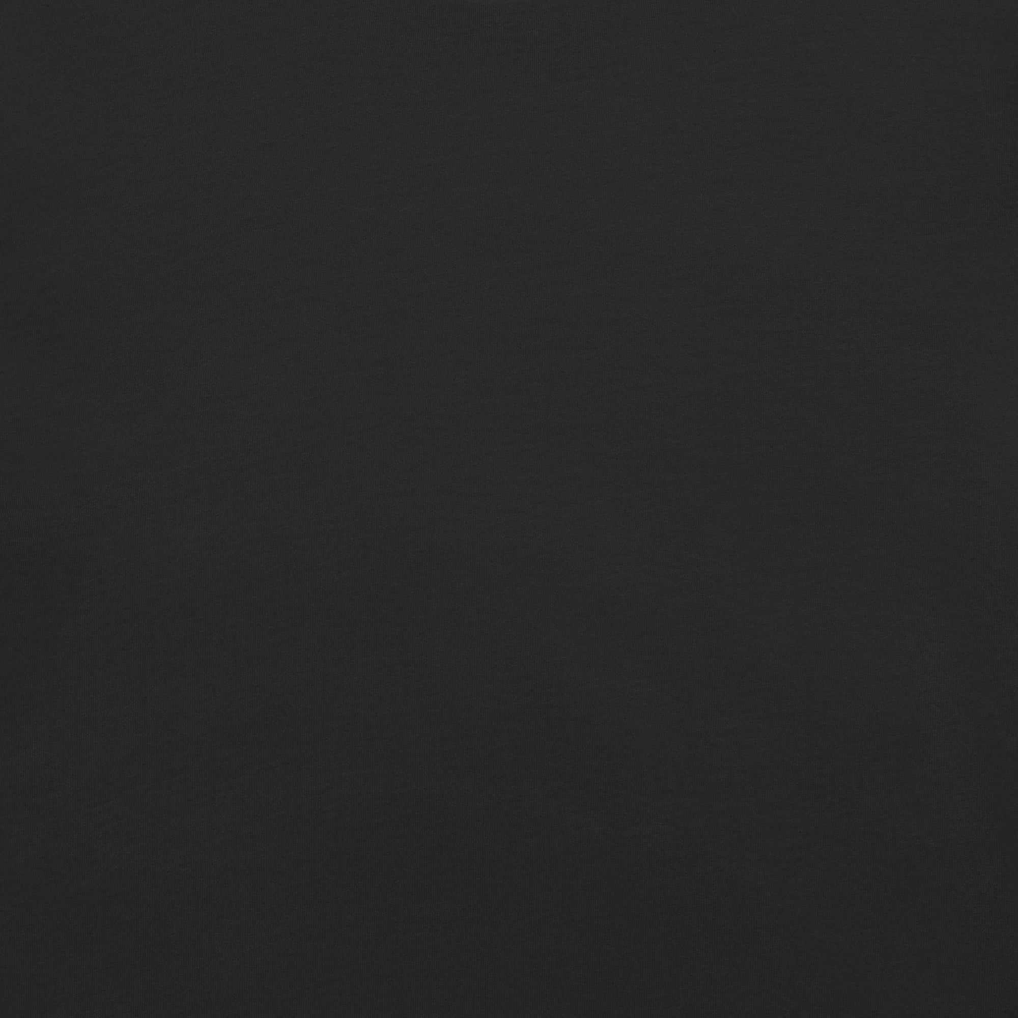 unisex-garment-dyed-heavyweight-t-shirt-black-back-67bb5aa63b2d2-1.jpg