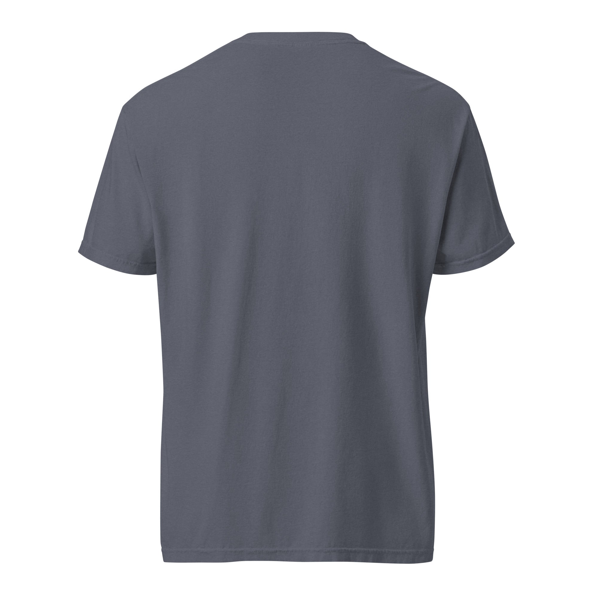 unisex-garment-dyed-heavyweight-t-shirt-denim-back-67b9be9a89f9c-1.jpg