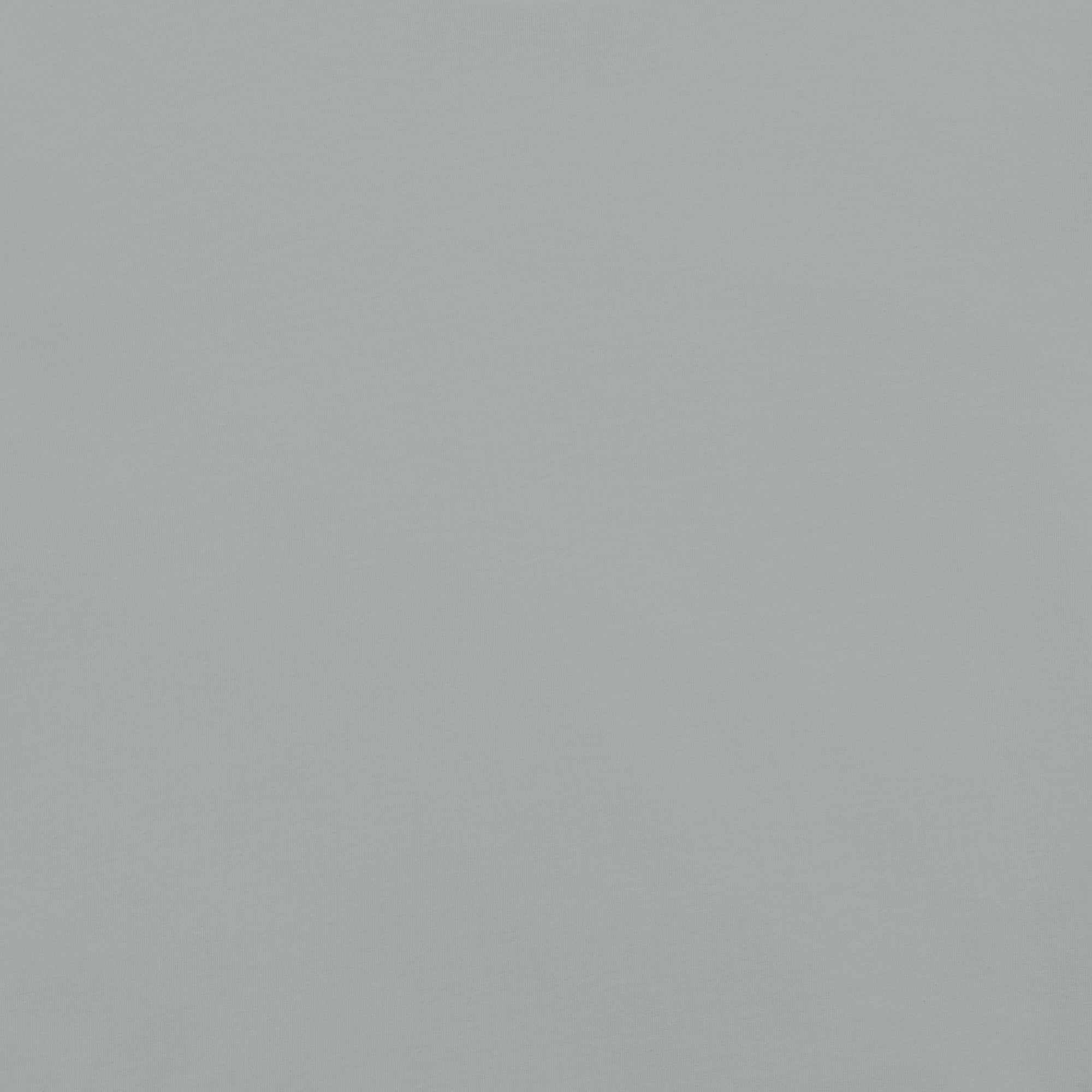 unisex-garment-dyed-heavyweight-t-shirt-granite-back-67bdfecbb0043.jpg