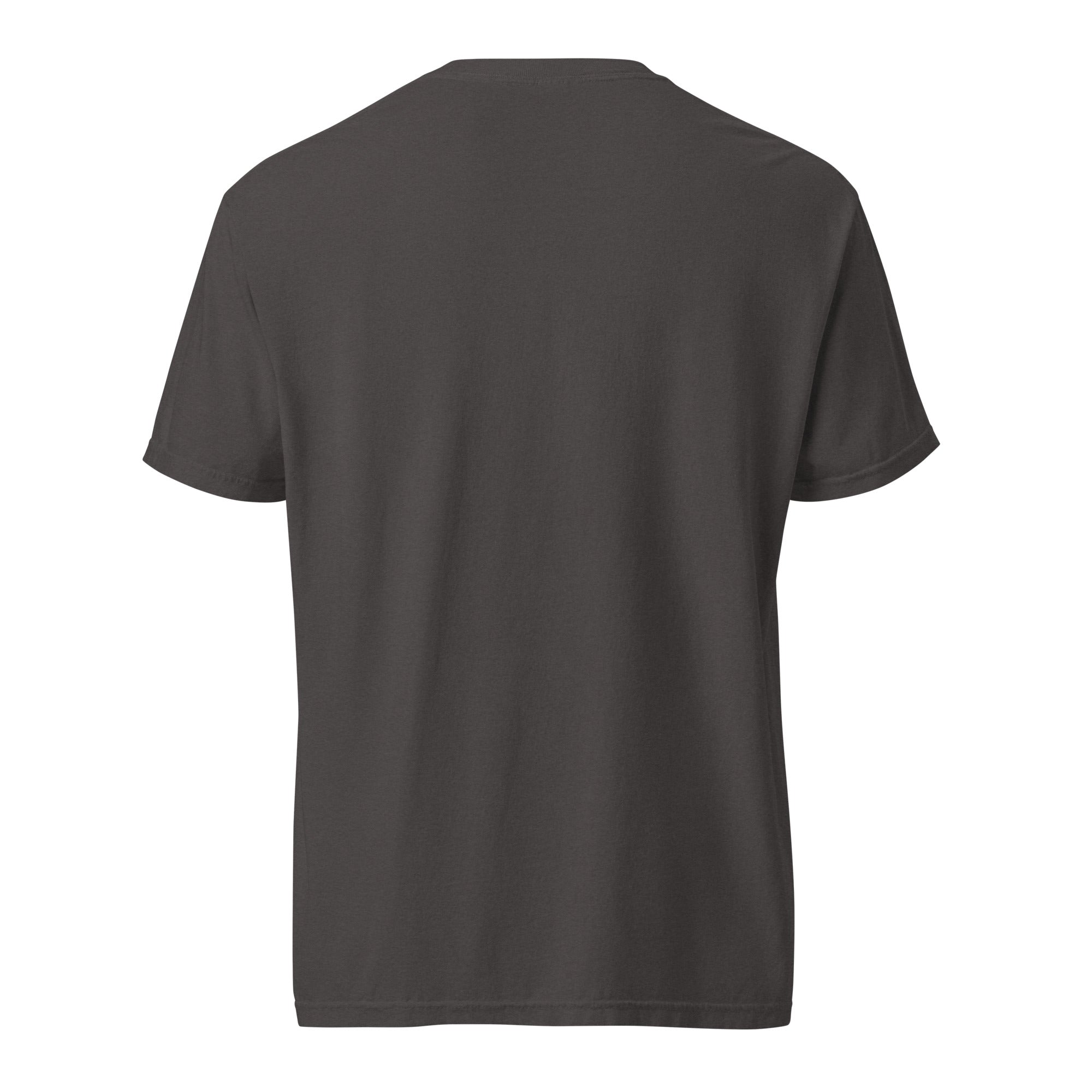 unisex-garment-dyed-heavyweight-t-shirt-graphite-back-67b9be9a70cc8-1.jpg