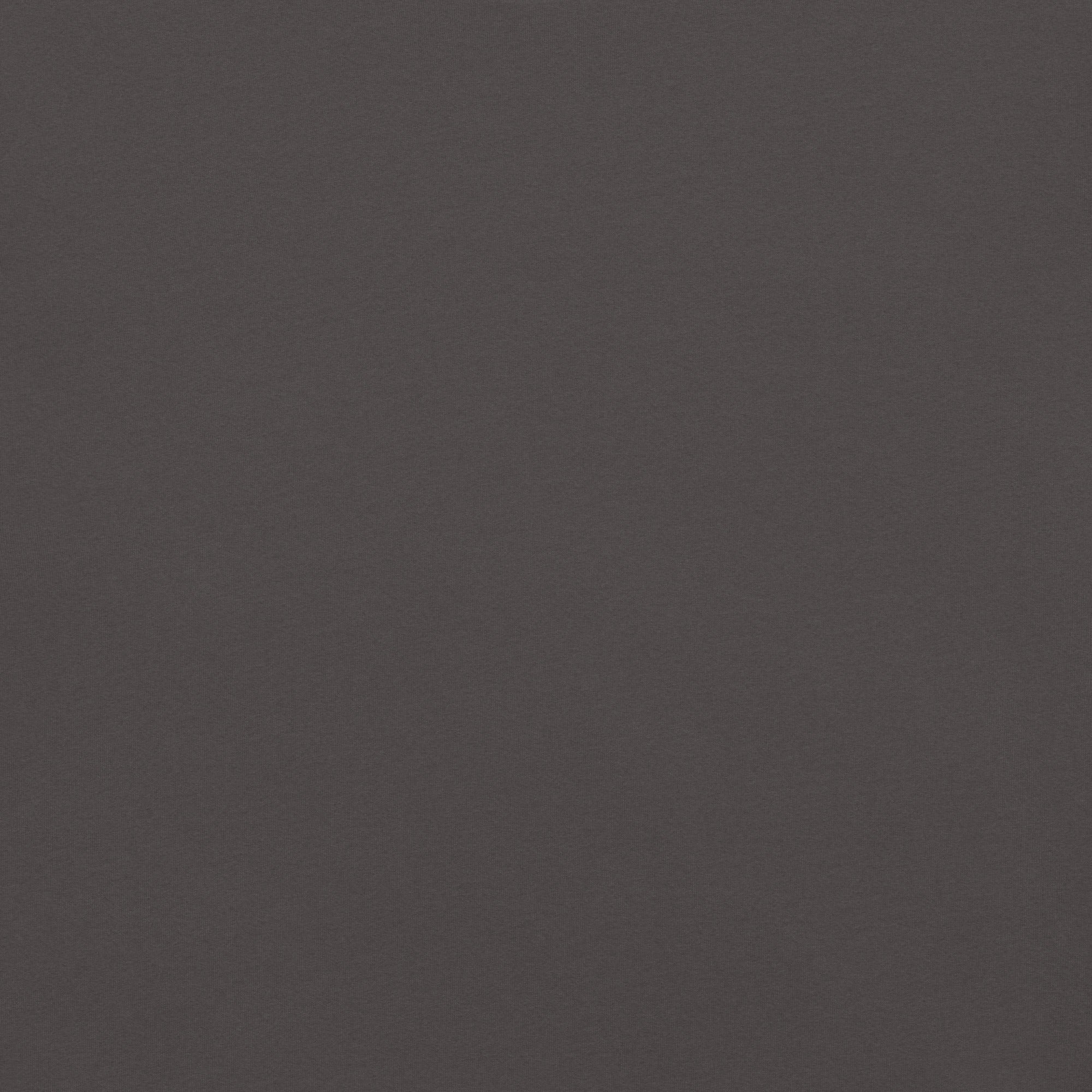 unisex-garment-dyed-heavyweight-t-shirt-graphite-back-67bdfecb684e0.jpg