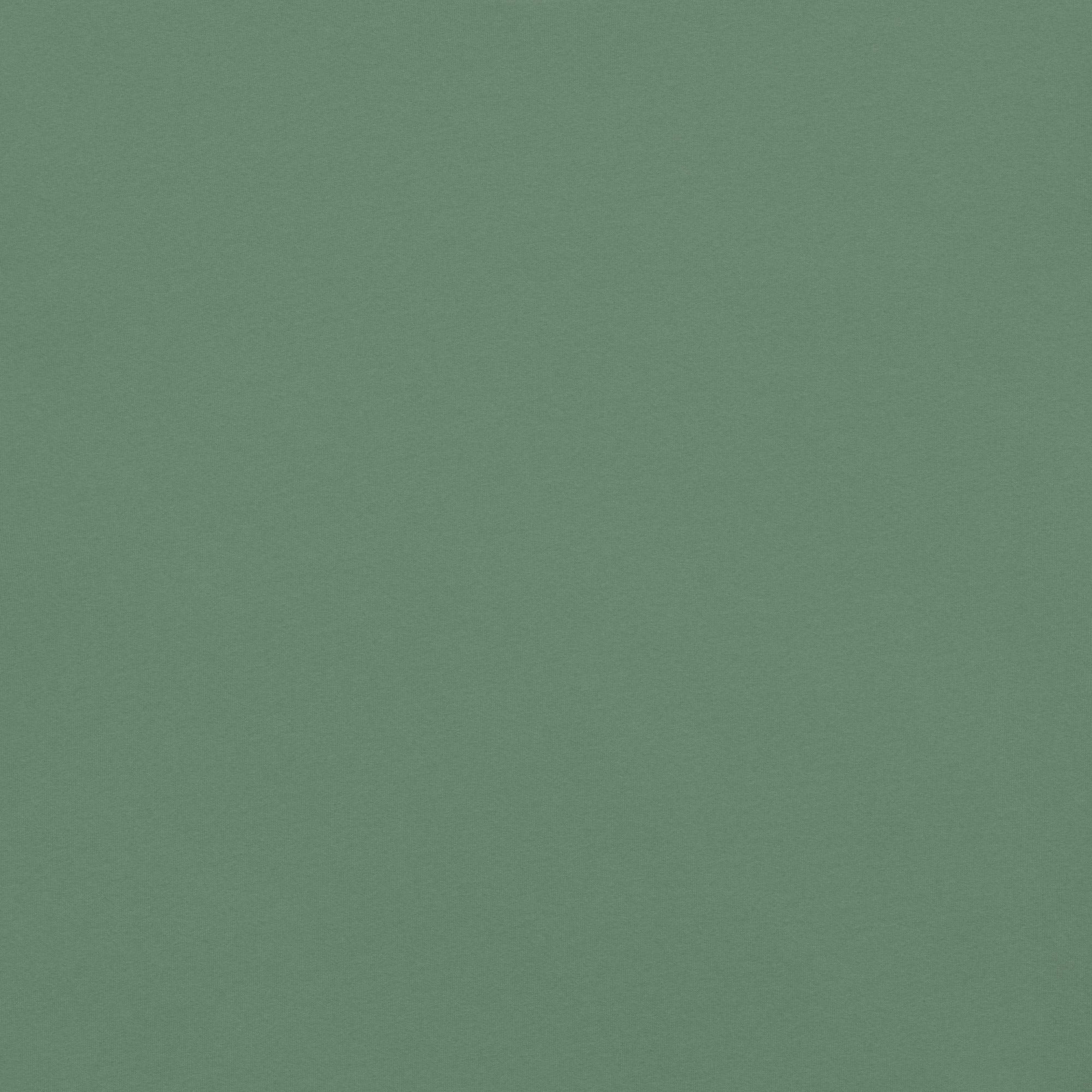 unisex-garment-dyed-heavyweight-t-shirt-light-green-back-67bdfecb8b575.jpg
