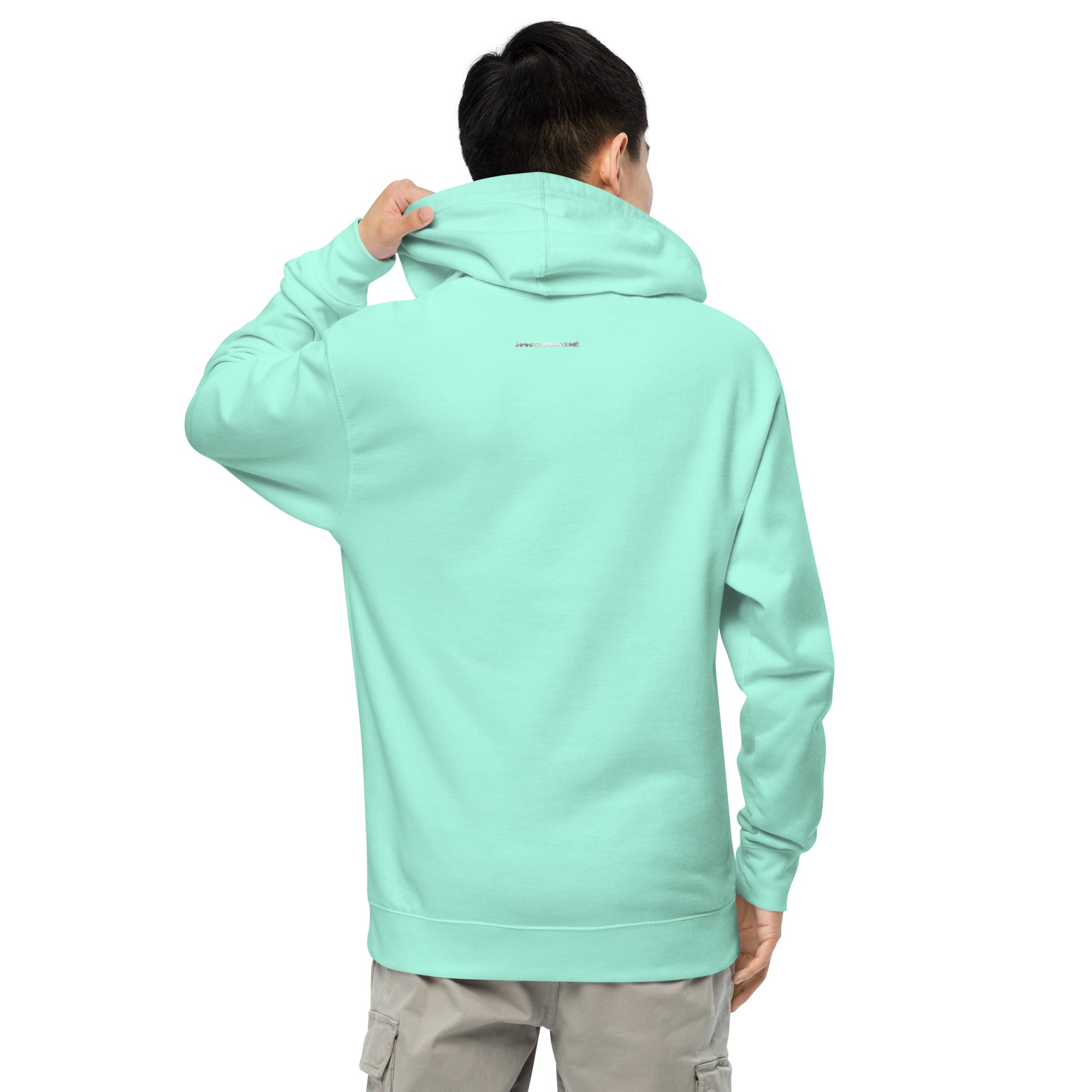 unisex-midweight-hoodie-mint-back-67bb5b30376ae.jpg