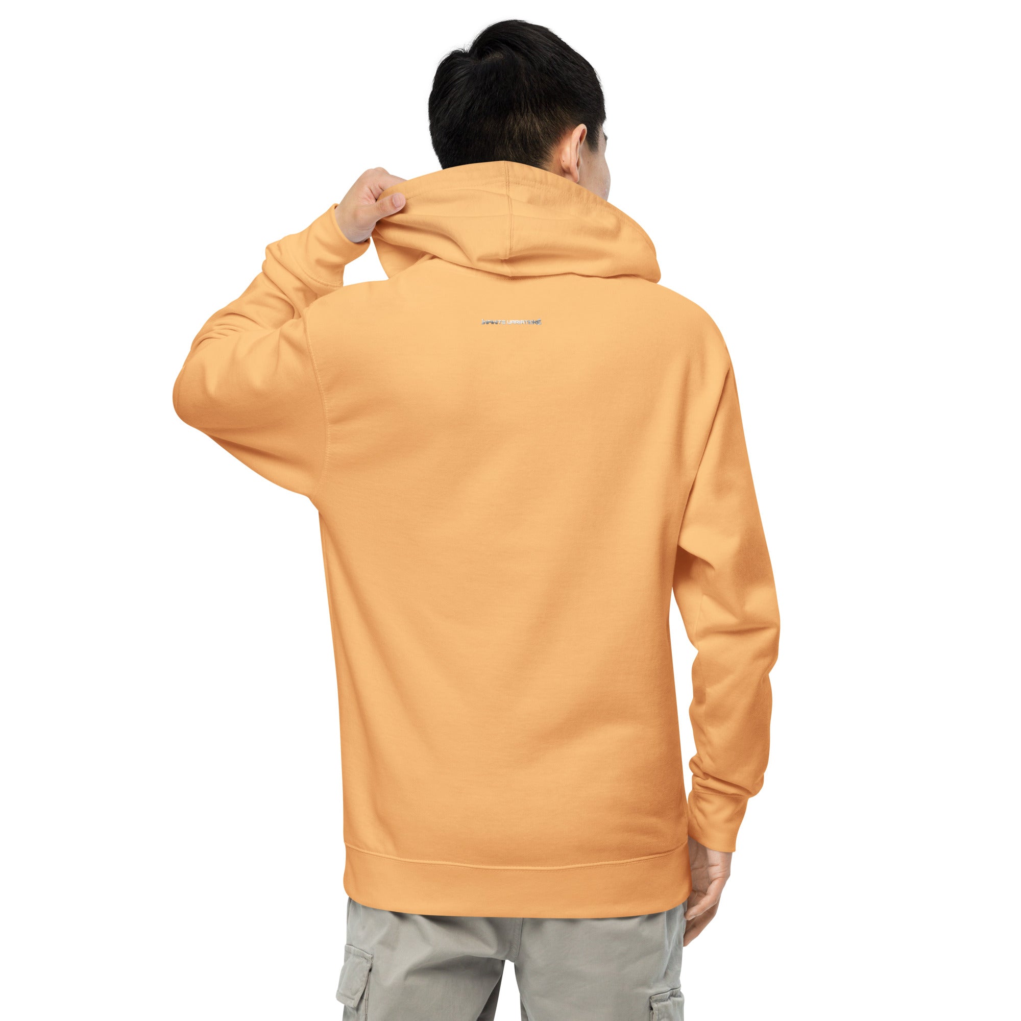 unisex-midweight-hoodie-peach-back-67bb5b302bd2b.jpg