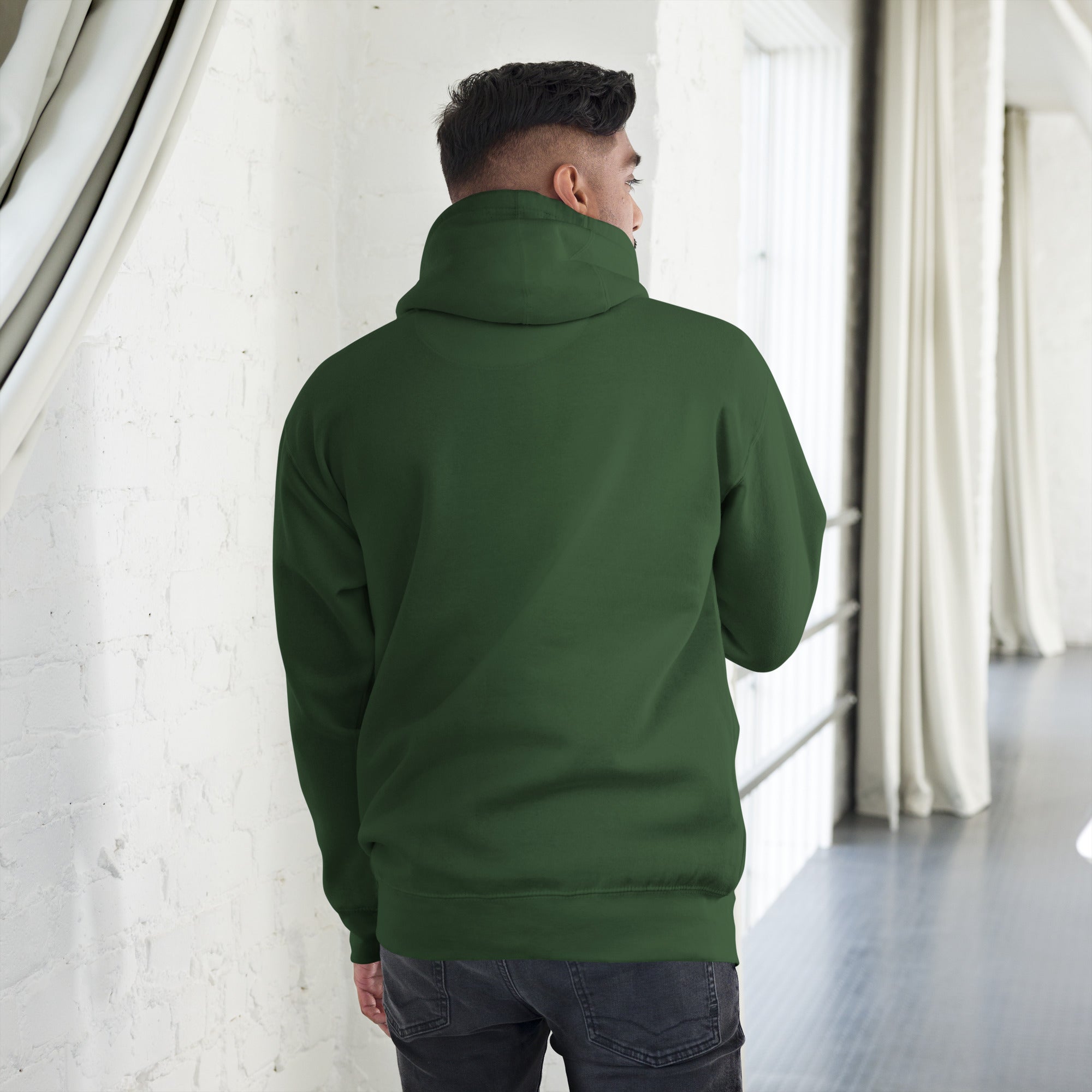 unisex-premium-hoodie-forest-green-back-67b9c5616b5b2.jpg