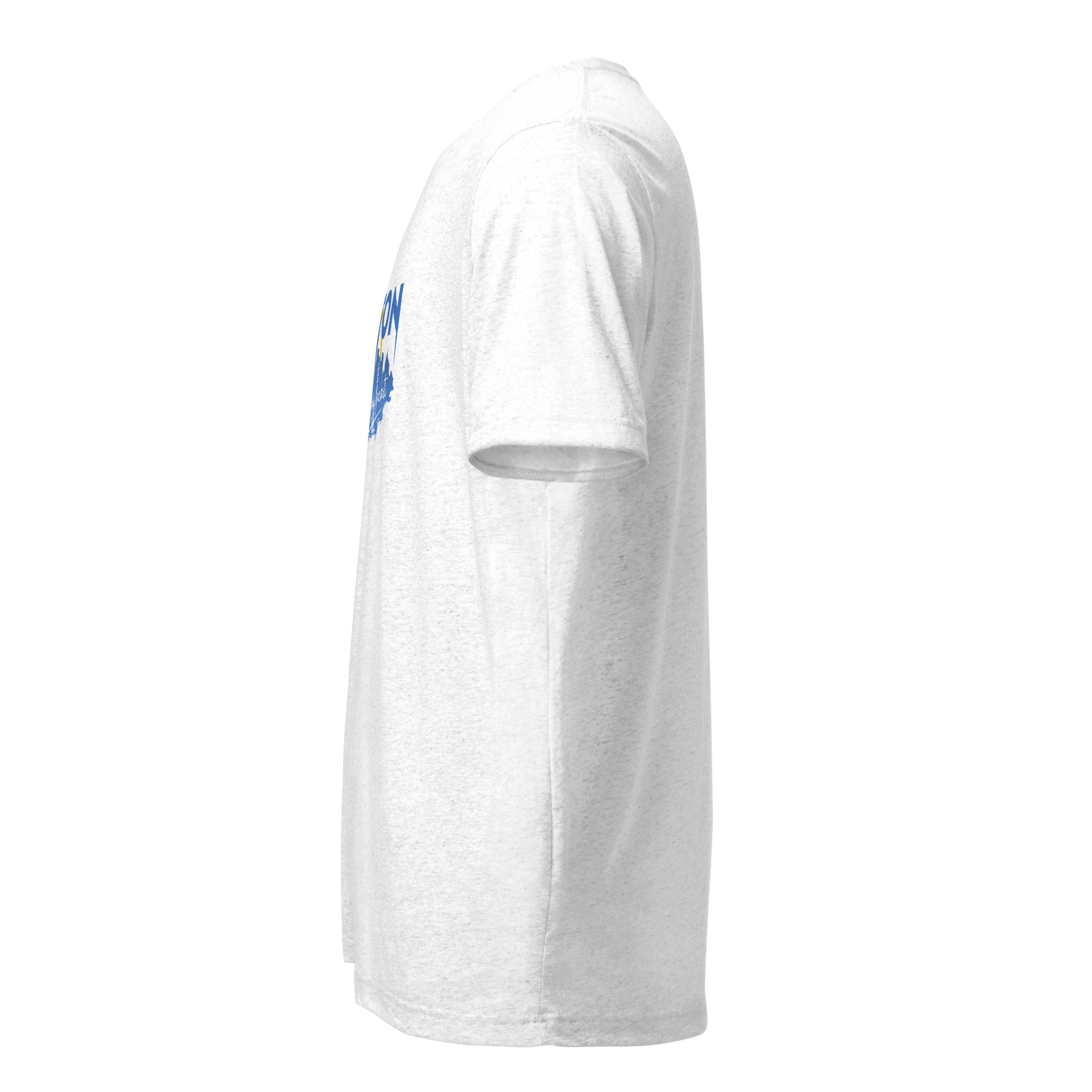 Boston Design - Men's Triblend Short sleeve t-shirt